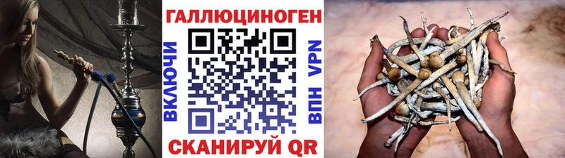 Галлюциногенные грибы мицелий  купить закладку  Кропоткин 